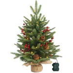 Prelighted Mini Christmas Tree With 50 Led Light, 80 Tips 2FT, Green. Fixed Price $43.15.