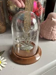 Mini 4 Beaded Westerim (?) Christmas Tree Glass Display Case. Fixed Price $78.00.