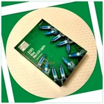 Home Accents Holiday 100 Ct Blue Mini Led Lights Set, 29.5 Ft. Fixed Price $13.99.