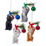 Kurt Adler Noble Gems Cats Santa Hats Playing Ornaments, Assorted, 4 Pack. Fixed Price $38.08.