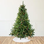 Northlight 10' Pre-lit Canadian Pine Artificial Christmas Tree Multi Lights. Fixed Price $864.49.