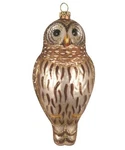 Barred Owl Bird Blown Glass Handcrafted Christmas Ornament Nib Cobane. Fixed Price $23.99.